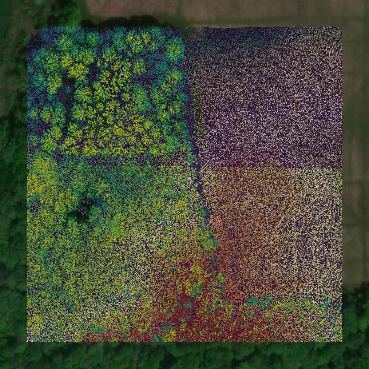 This image shows a LiDAR point cloud in Mahoning County created using GIS data in Equator.