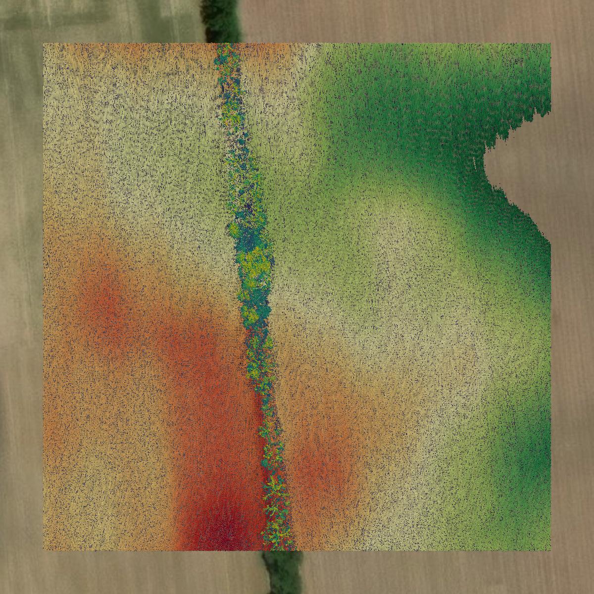 This image shows a LiDAR point cloud in Marion County created using GIS data in Equator.