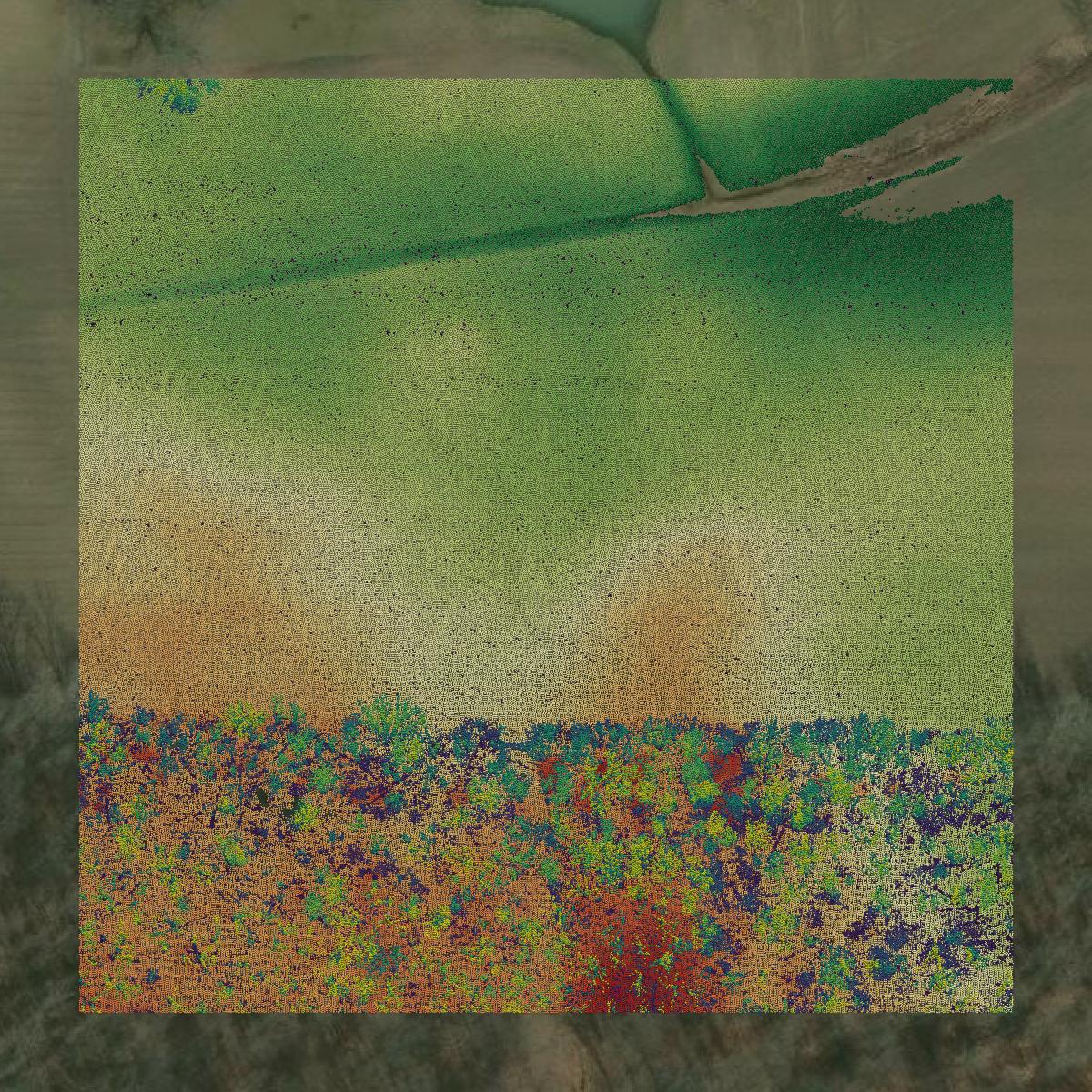 This image shows a LiDAR point cloud in Medina County created using GIS data in Equator.