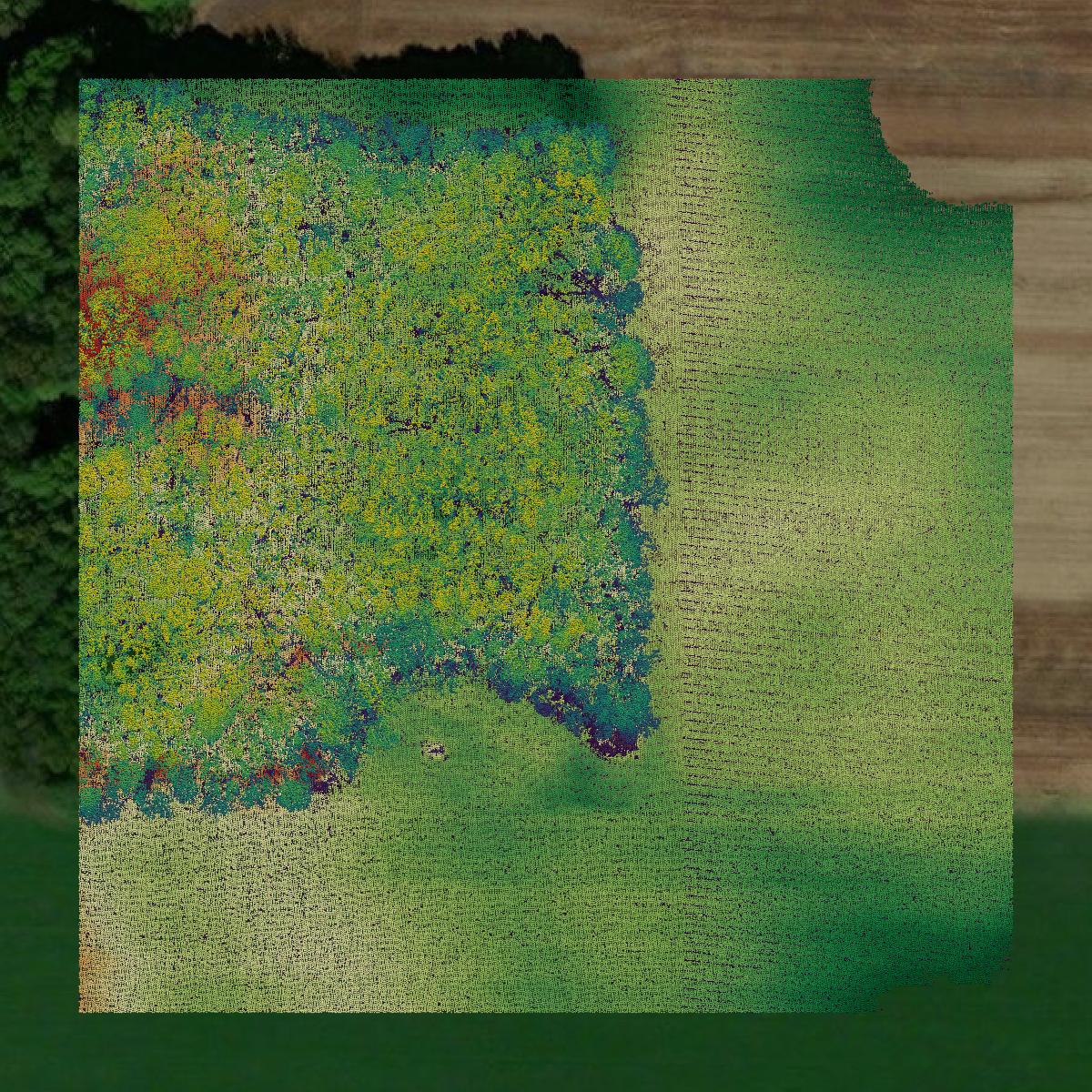 This image shows a LiDAR point cloud in Medina County created using GIS data in Equator.