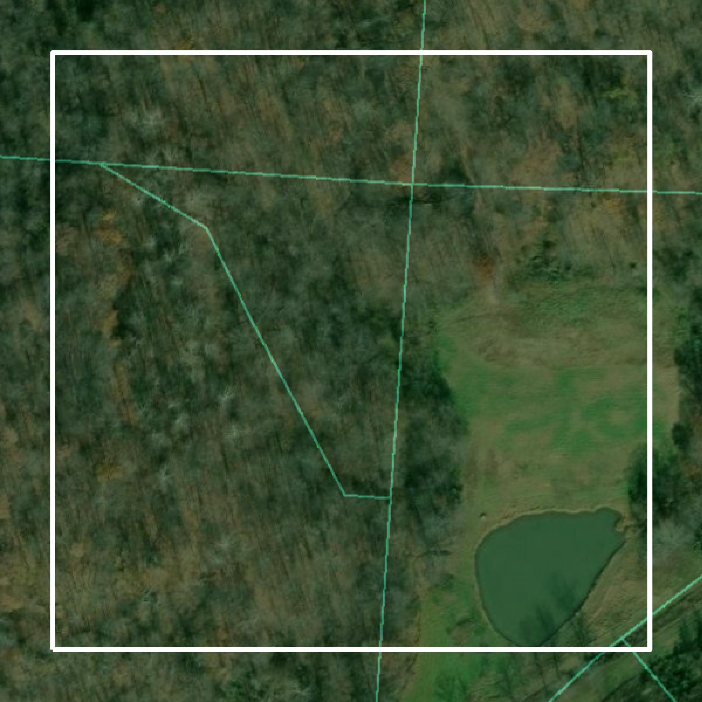 This image shows parcel and building data in Meigs County created using GIS data in Equator.