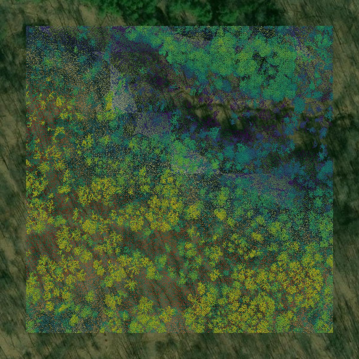 This image shows a LiDAR point cloud in Meigs County created using GIS data in Equator.