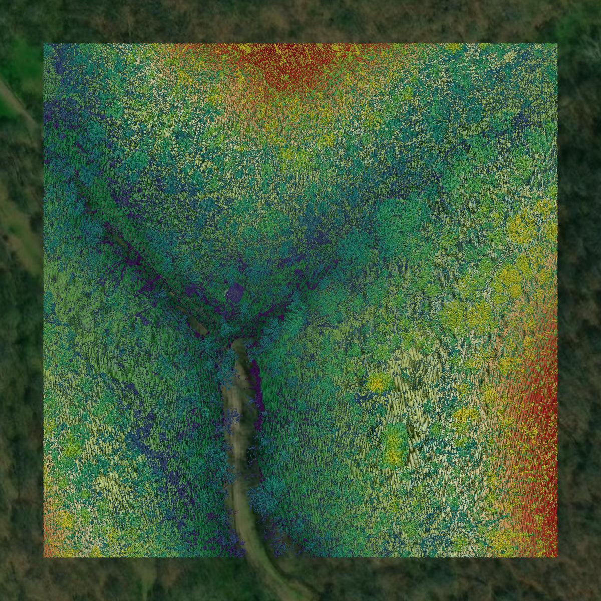 This image shows a LiDAR point cloud in Monroe County created using GIS data in Equator.