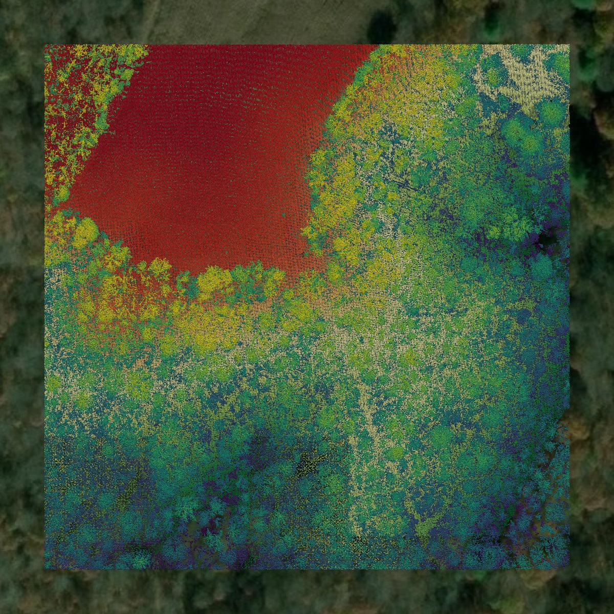 This image shows a LiDAR point cloud in Monroe County created using GIS data in Equator.