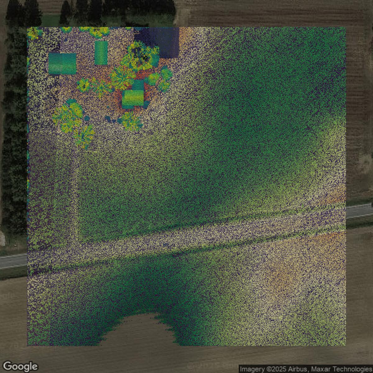 This image shows a LiDAR point cloud in Montgomery County created using GIS data in Equator.