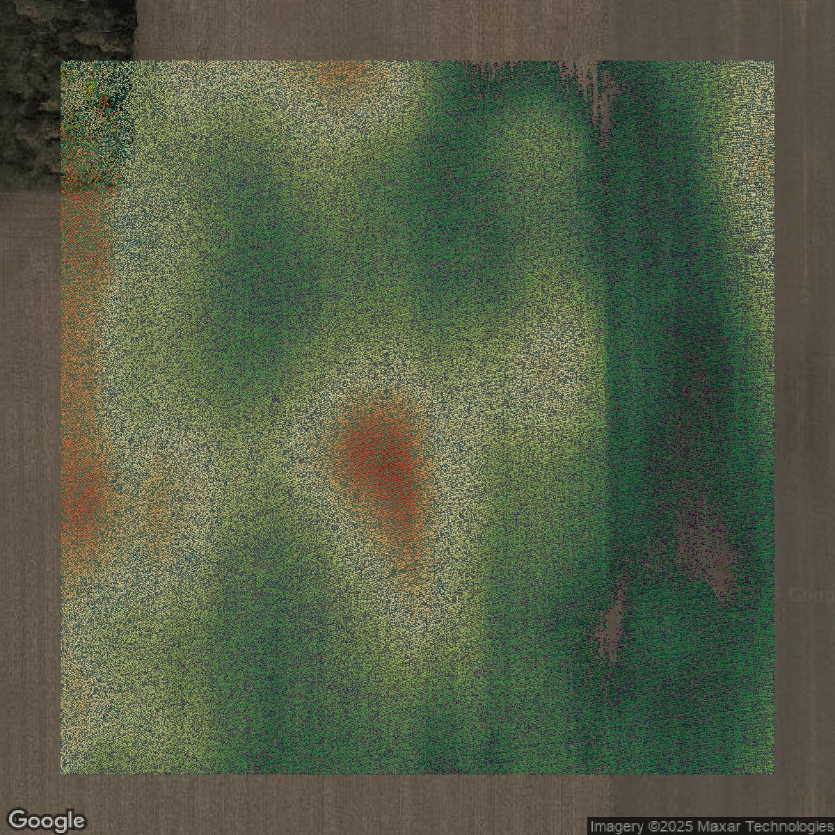This image shows a LiDAR point cloud in Montgomery County created using GIS data in Equator.