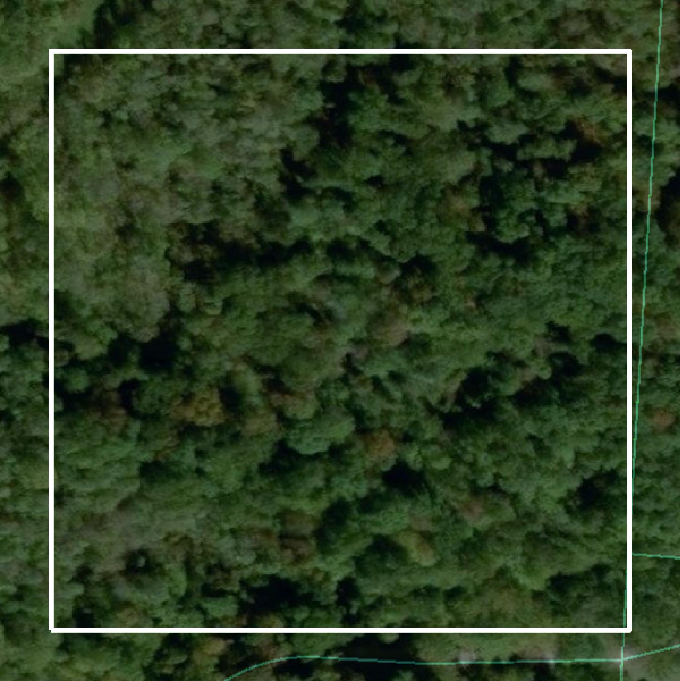 This image shows parcel and building data in Morgan County created using GIS data in Equator.