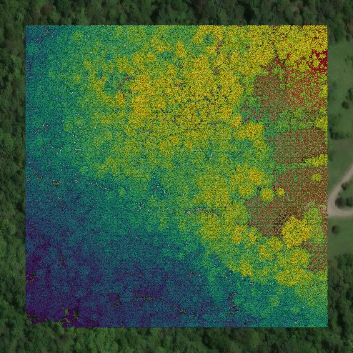 This image shows a LiDAR point cloud in Morgan County created using GIS data in Equator.