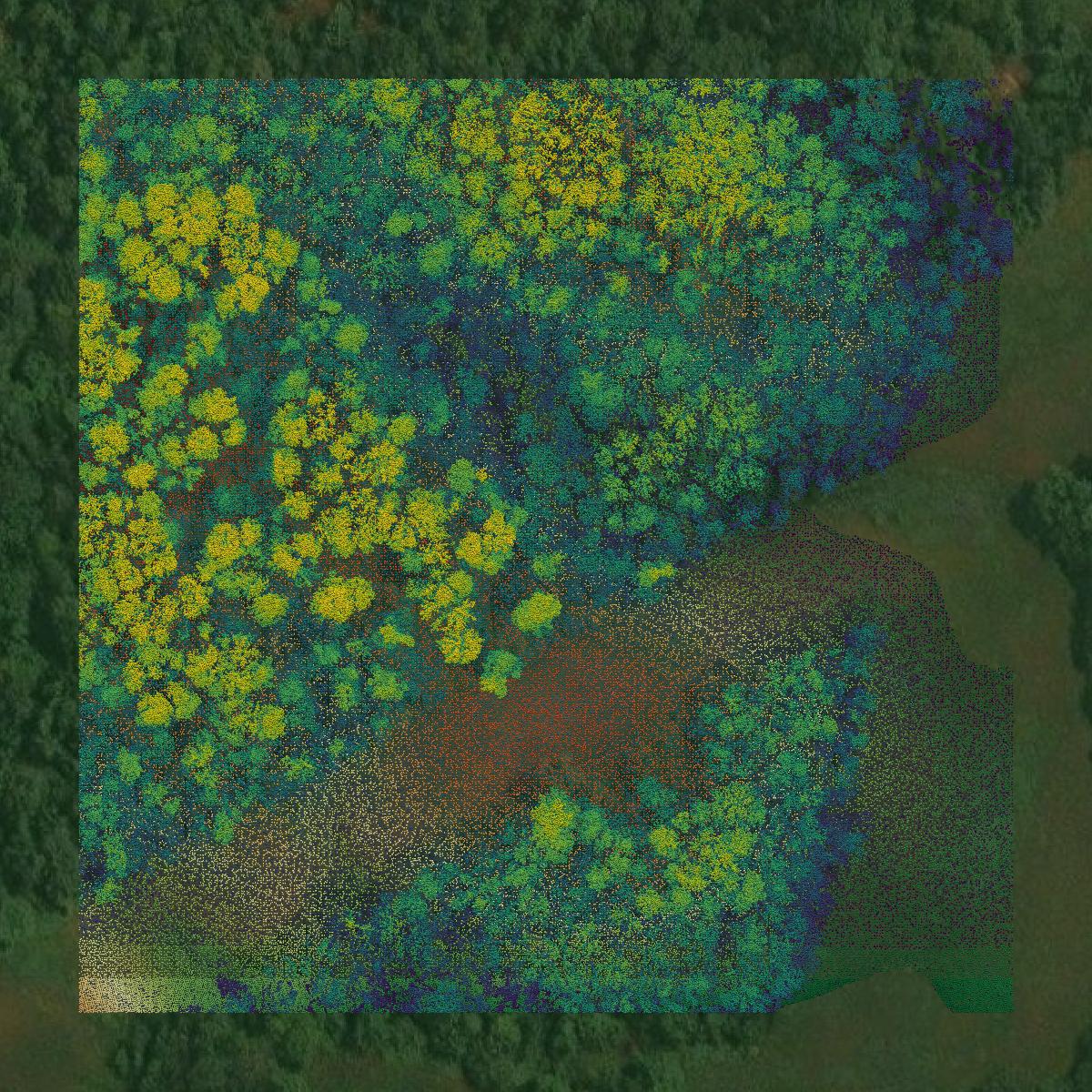 This image shows a LiDAR point cloud in Noble County created using GIS data in Equator.