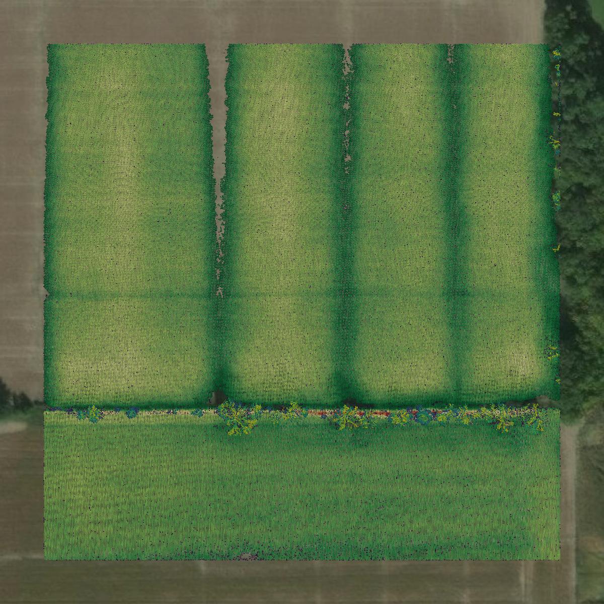 This image shows a LiDAR point cloud in Paulding County created using GIS data in Equator.