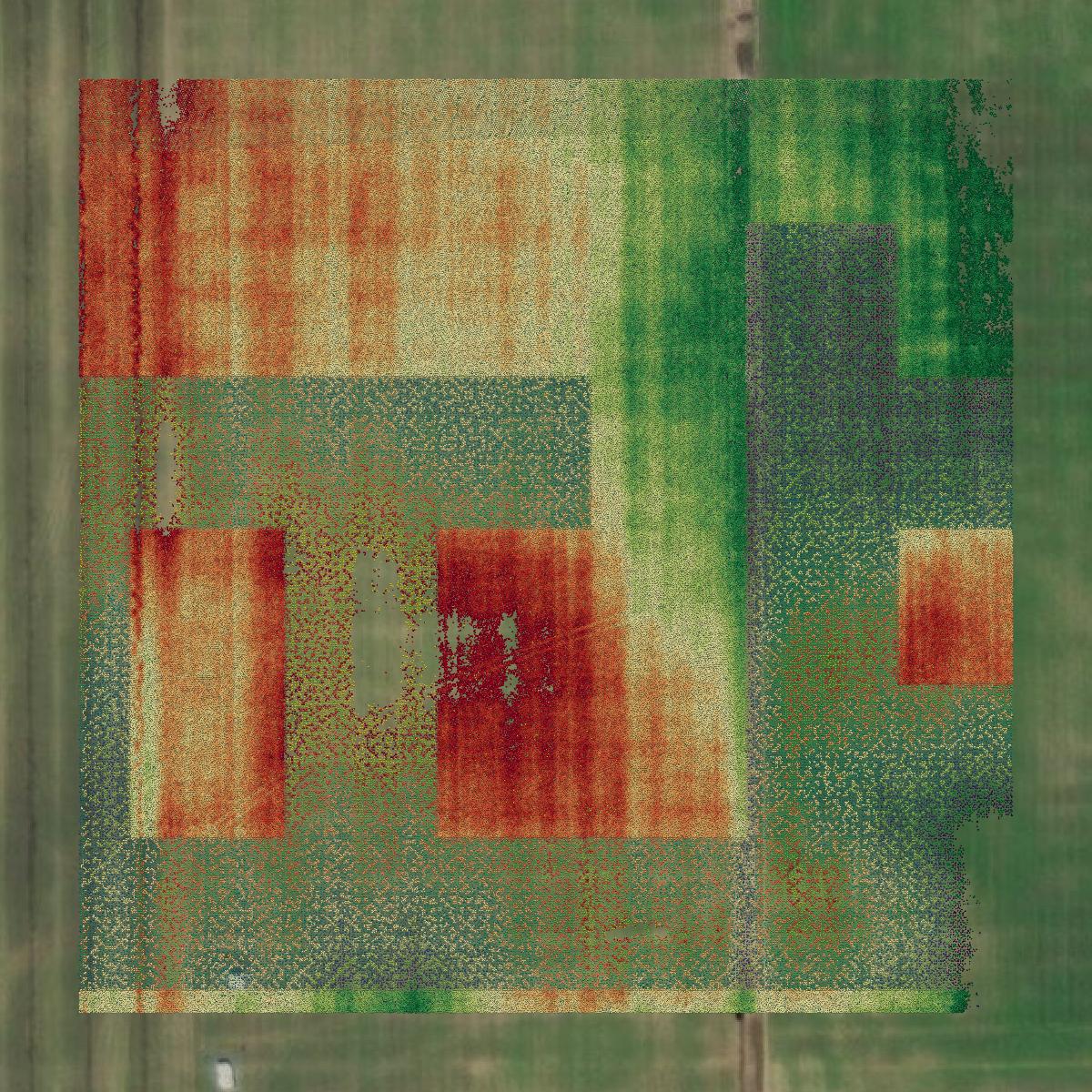 This image shows a LiDAR point cloud in Paulding County created using GIS data in Equator.