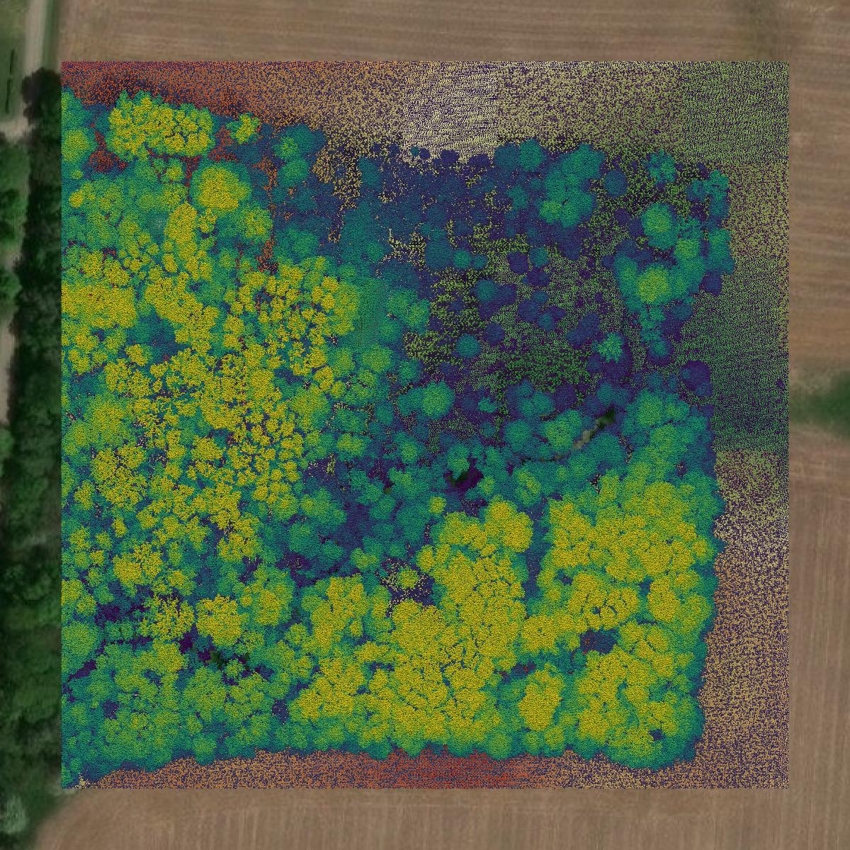 This image shows a LiDAR point cloud in Perry County created using GIS data in Equator.