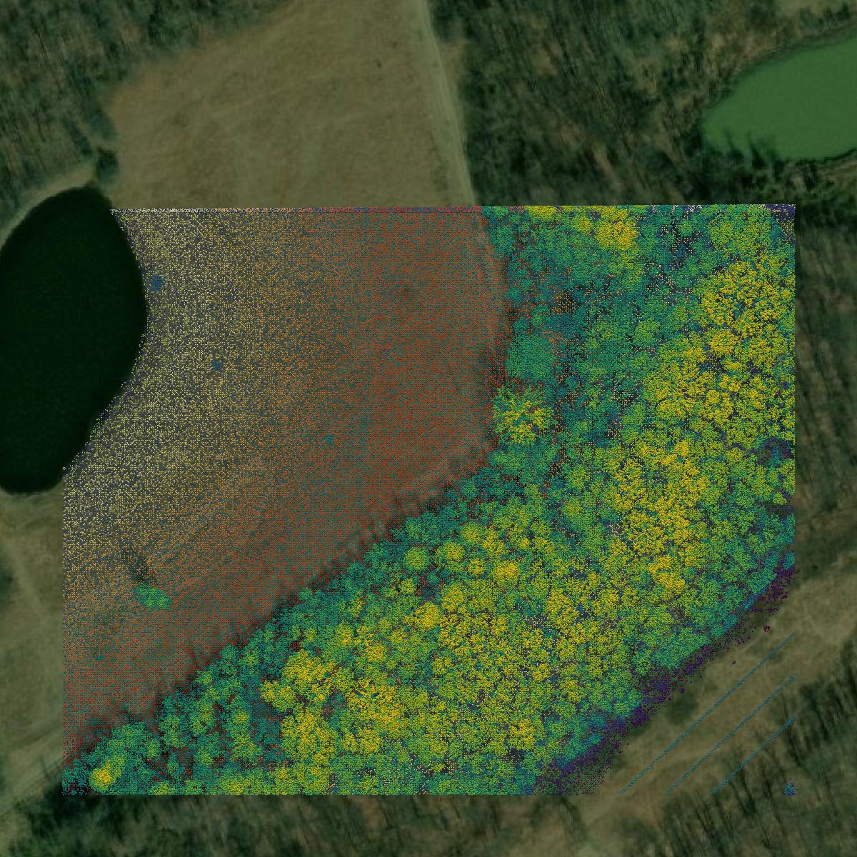 This image shows a LiDAR point cloud in Pike County created using GIS data in Equator.