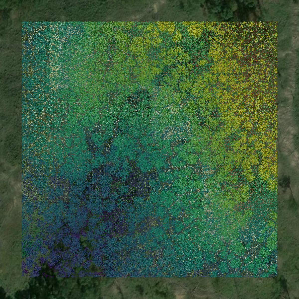 This image shows a LiDAR point cloud in Ross County created using GIS data in Equator.