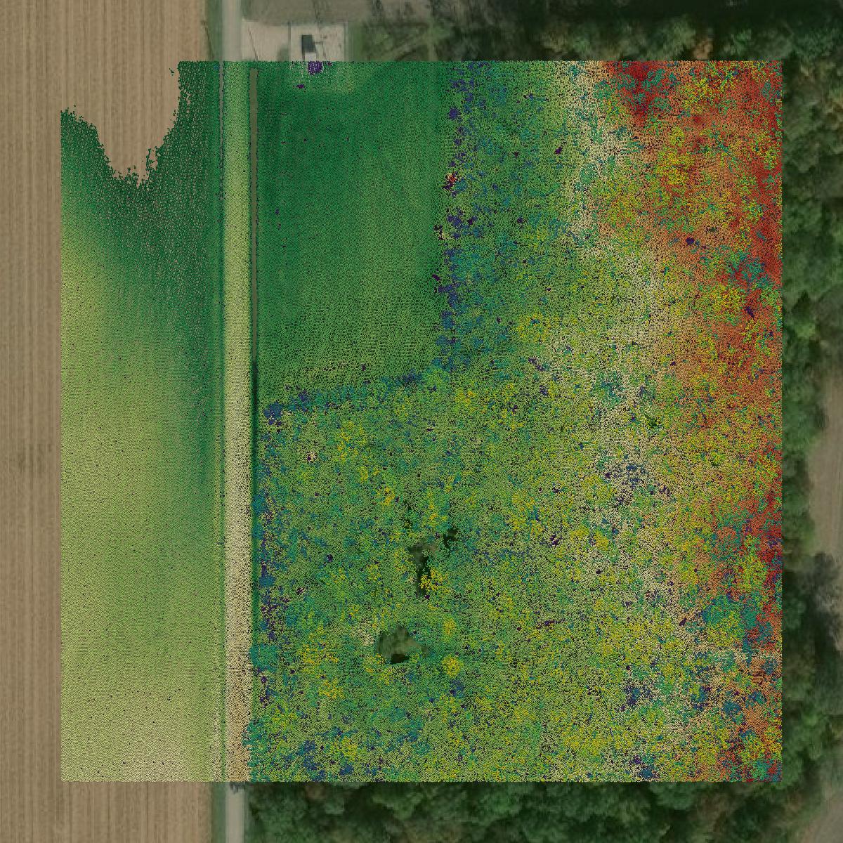 This image shows a LiDAR point cloud in Seneca County created using GIS data in Equator.