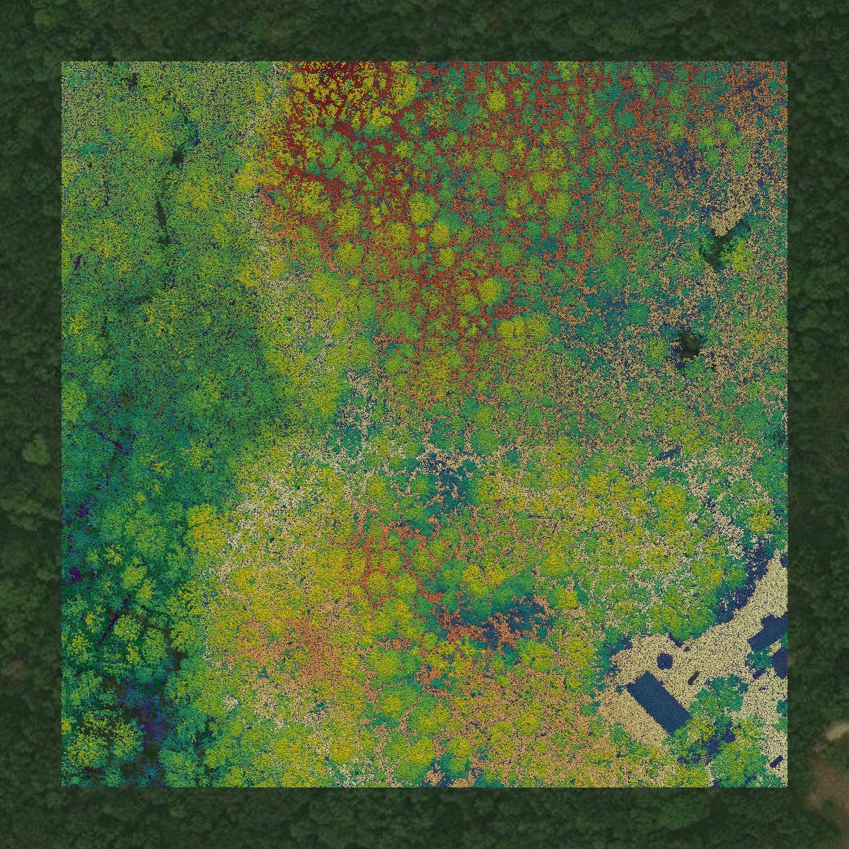 This image shows a LiDAR point cloud in Trumbull County created using GIS data in Equator.