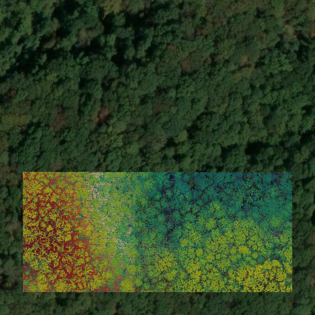This image shows a LiDAR point cloud in Vinton County created using GIS data in Equator.
