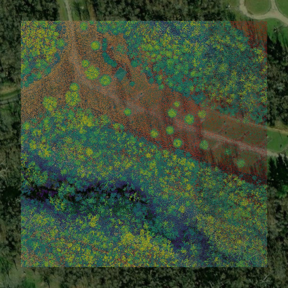 This image shows a LiDAR point cloud in Warren County created using GIS data in Equator.