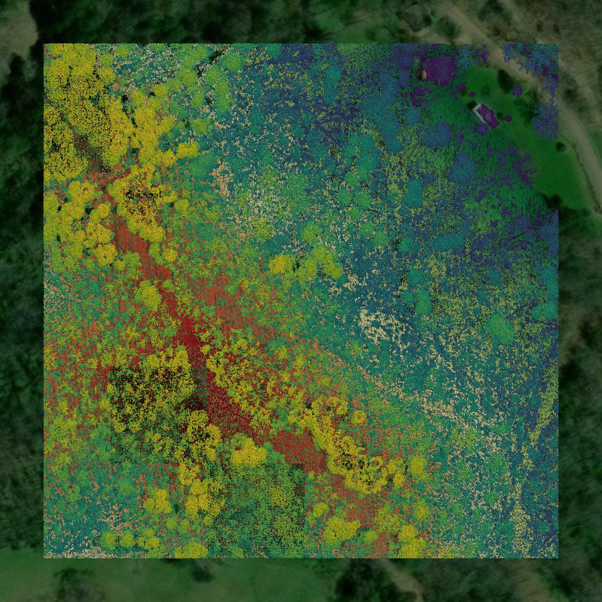 This image shows a LiDAR point cloud in Washington County created using GIS data in Equator.