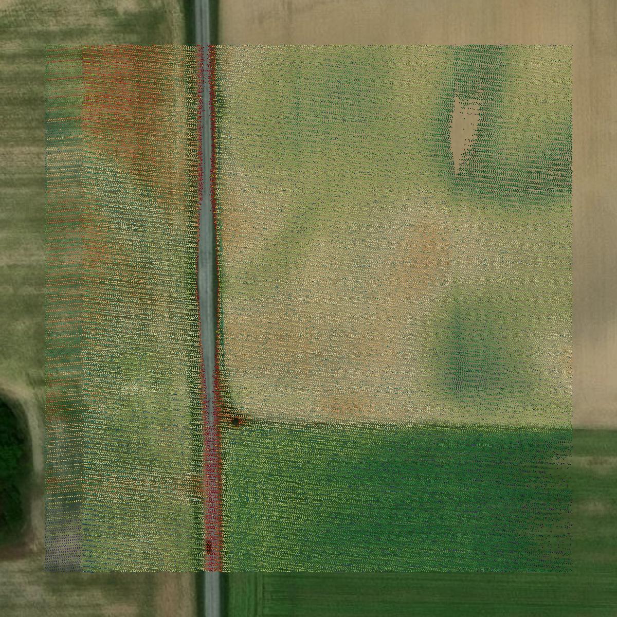 This image shows a LiDAR point cloud in Wayne County created using GIS data in Equator.