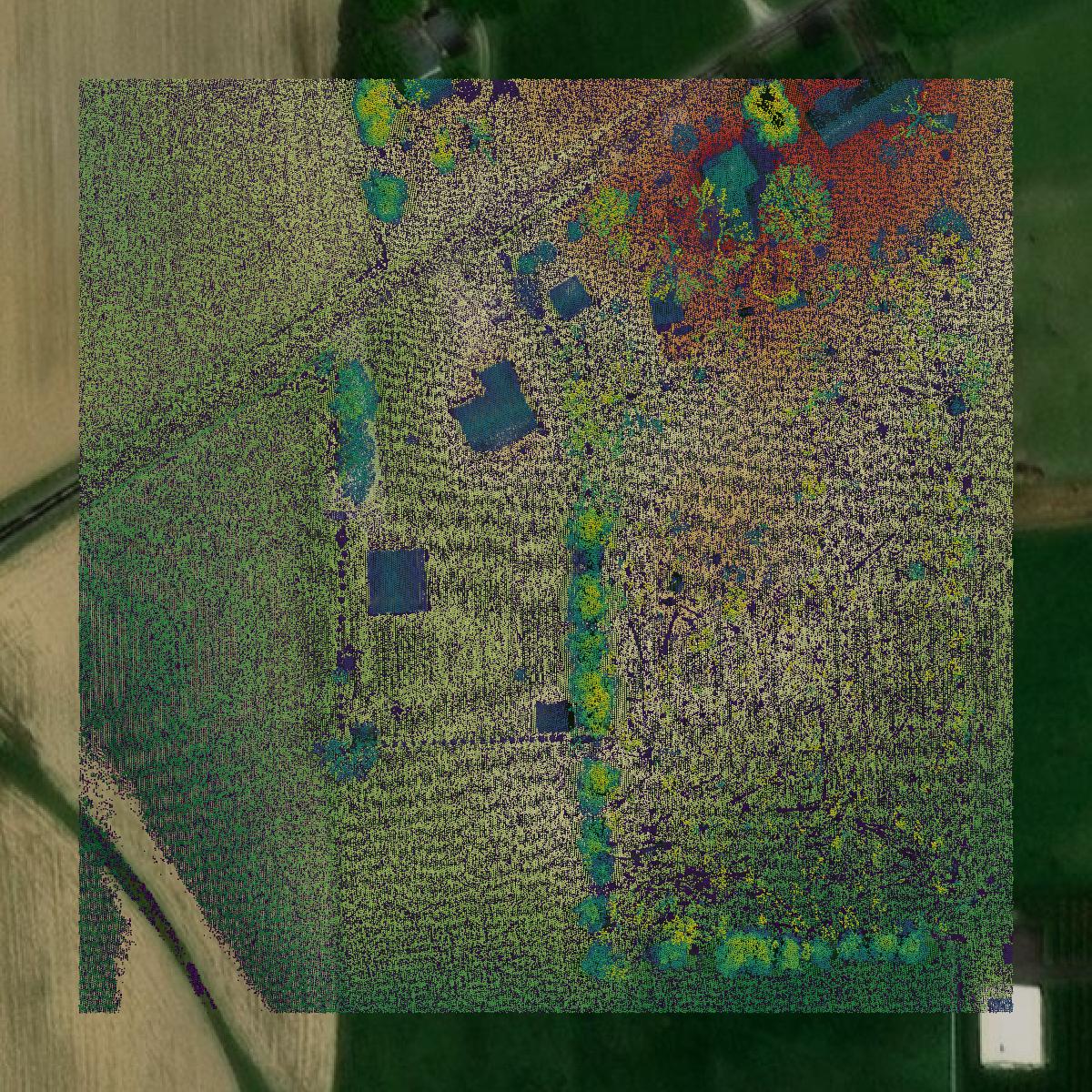 This image shows a LiDAR point cloud in Wayne County created using GIS data in Equator.