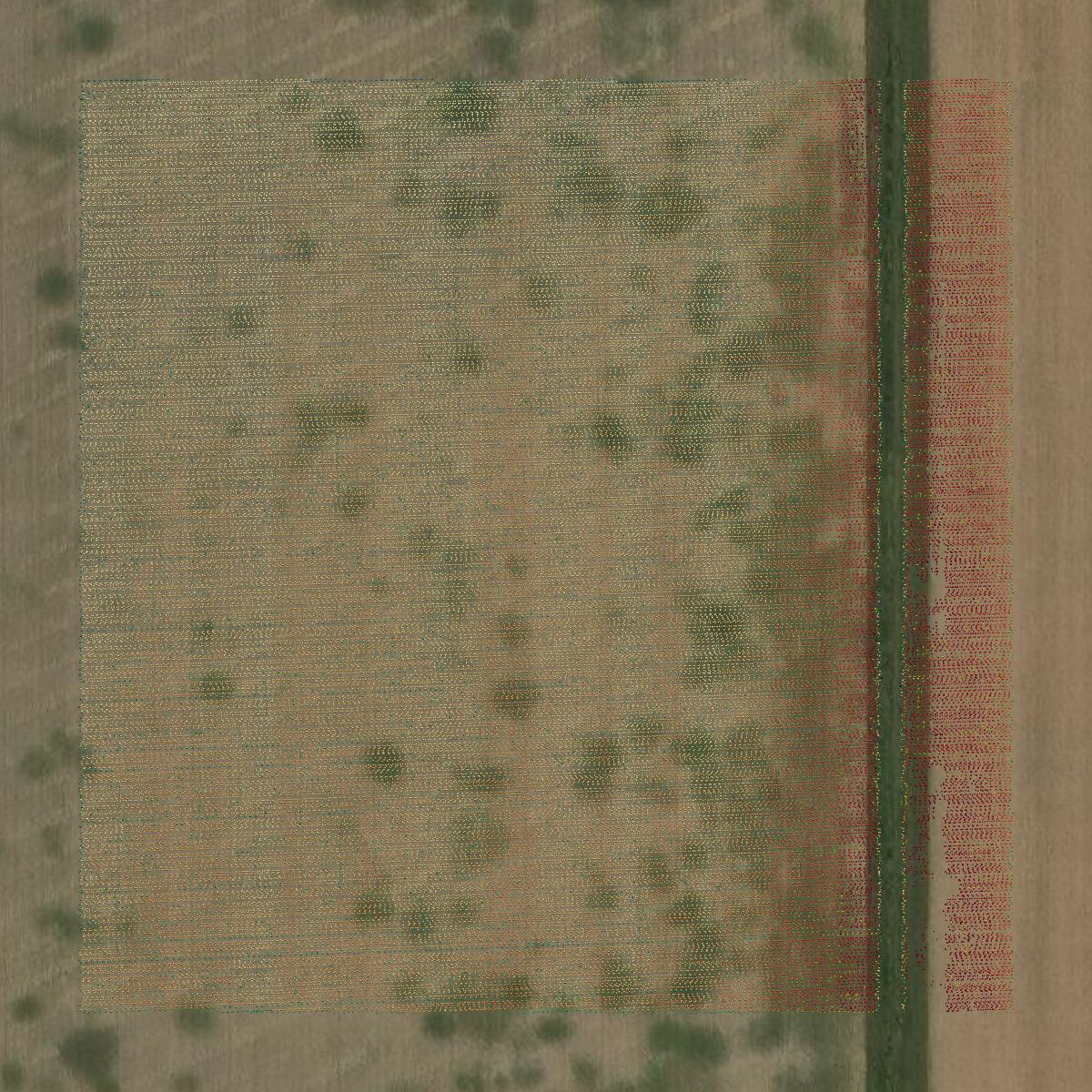 This image shows a LiDAR point cloud in Wood County created using GIS data in Equator.