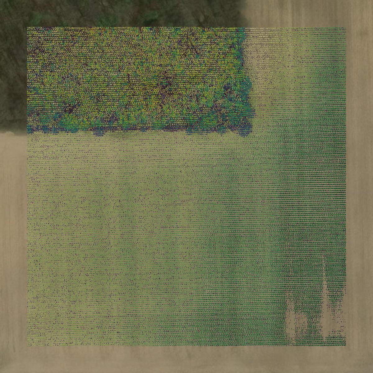 This image shows a LiDAR point cloud in Wood County created using GIS data in Equator.