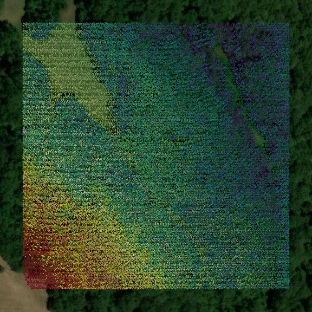 This image shows a LiDAR point cloud in Adair County created using GIS data in Equator.