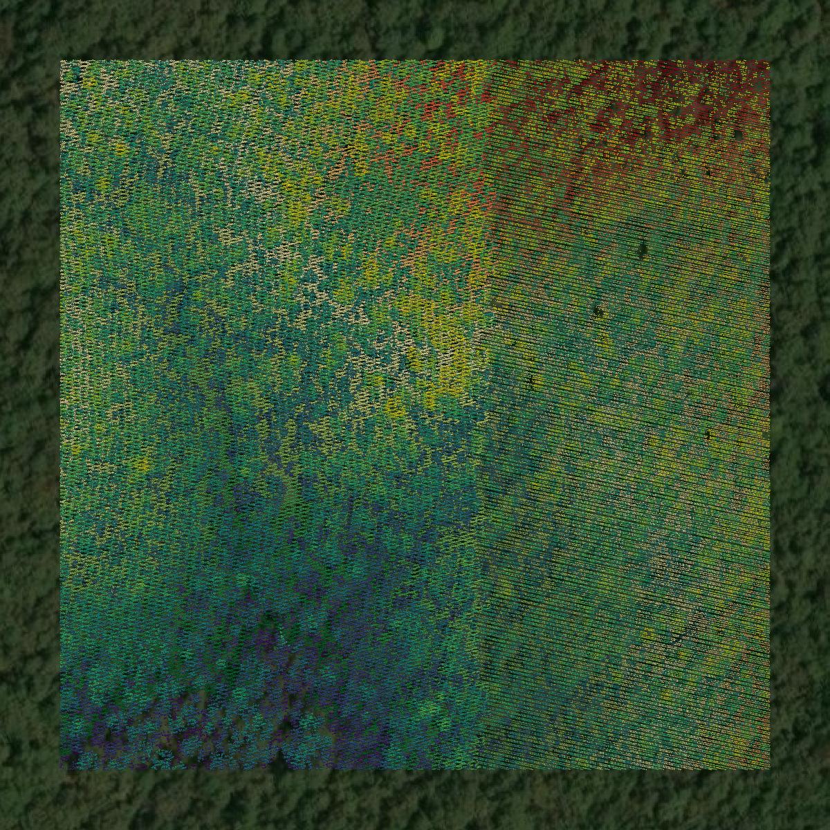 This image shows a LiDAR point cloud in Atoka County created using GIS data in Equator.