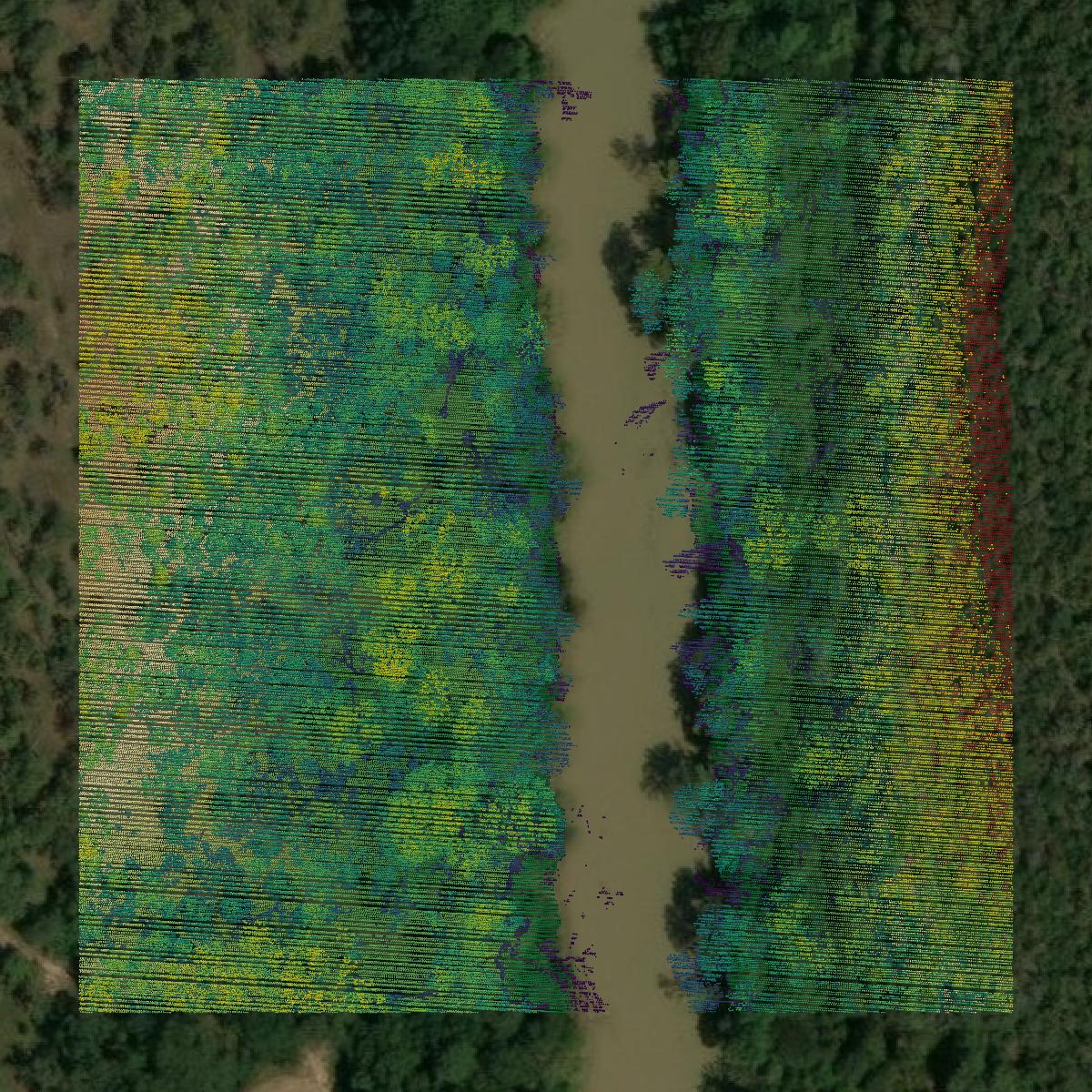 This image shows a LiDAR point cloud in Atoka County created using GIS data in Equator.