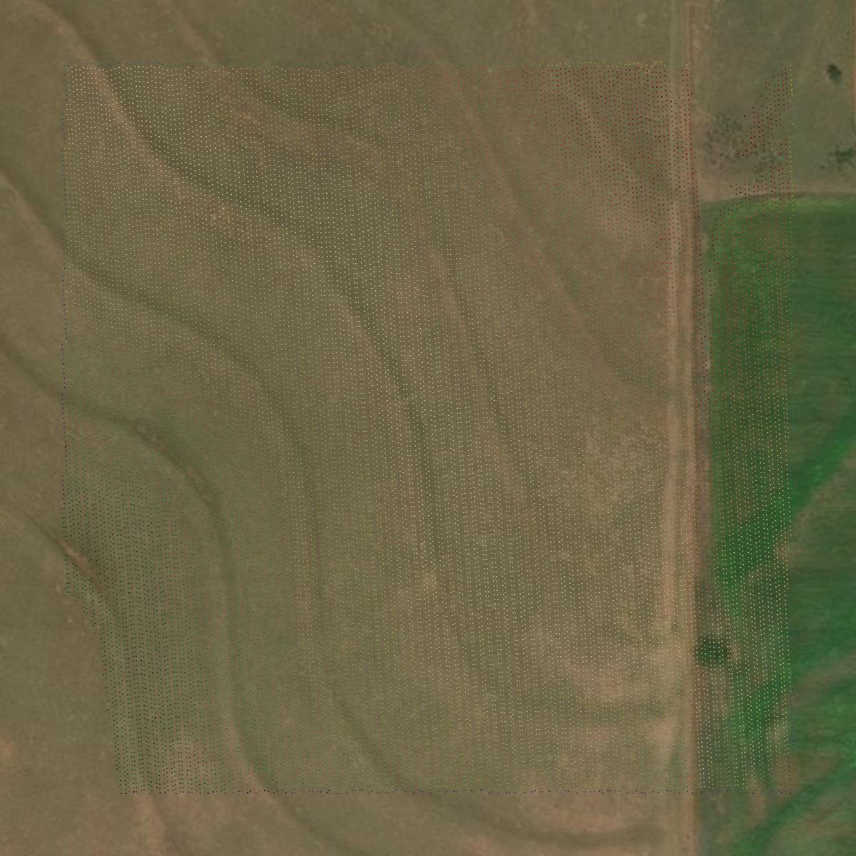 This image shows a LiDAR point cloud in Beckham County created using GIS data in Equator.