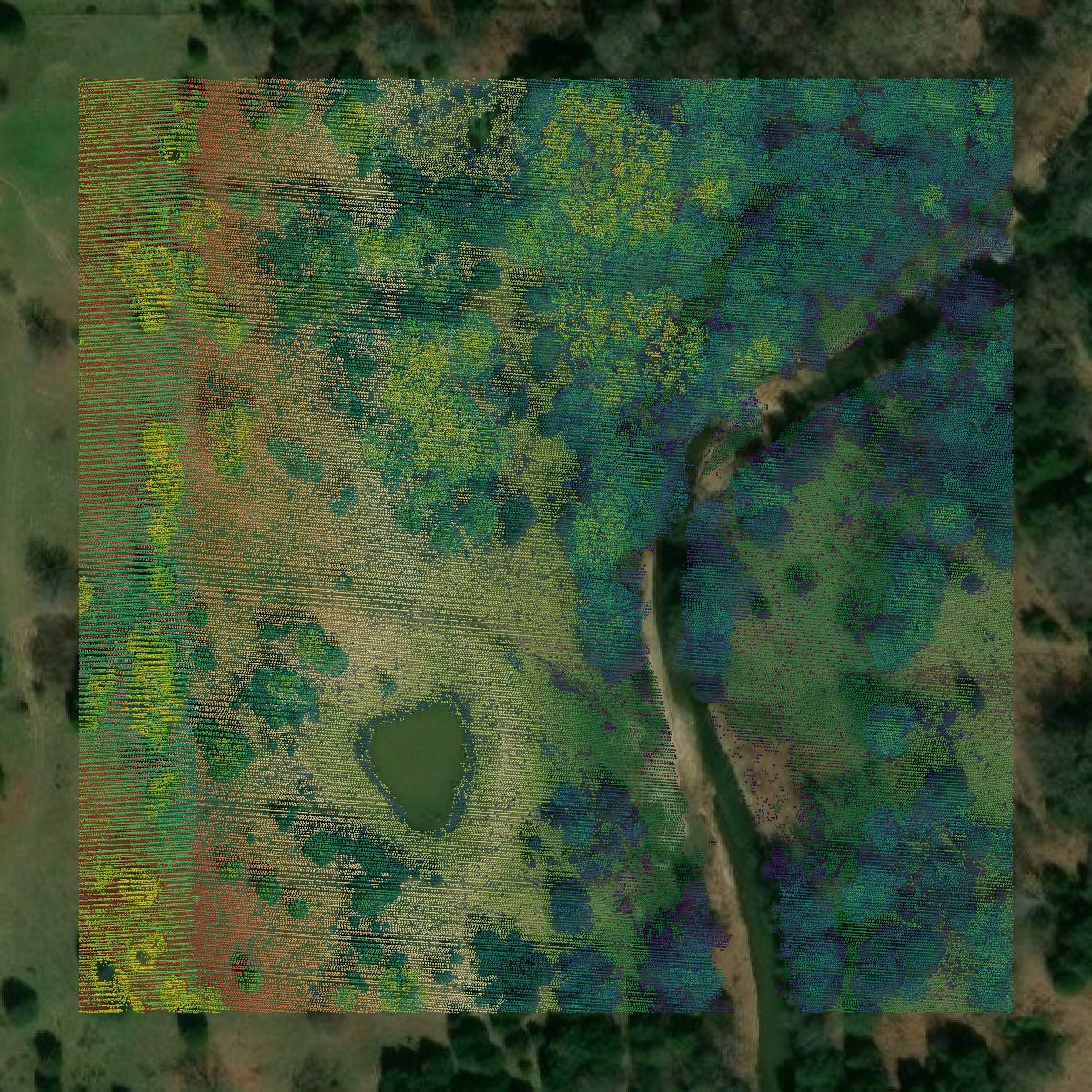 This image shows a LiDAR point cloud in Bryan County created using GIS data in Equator.