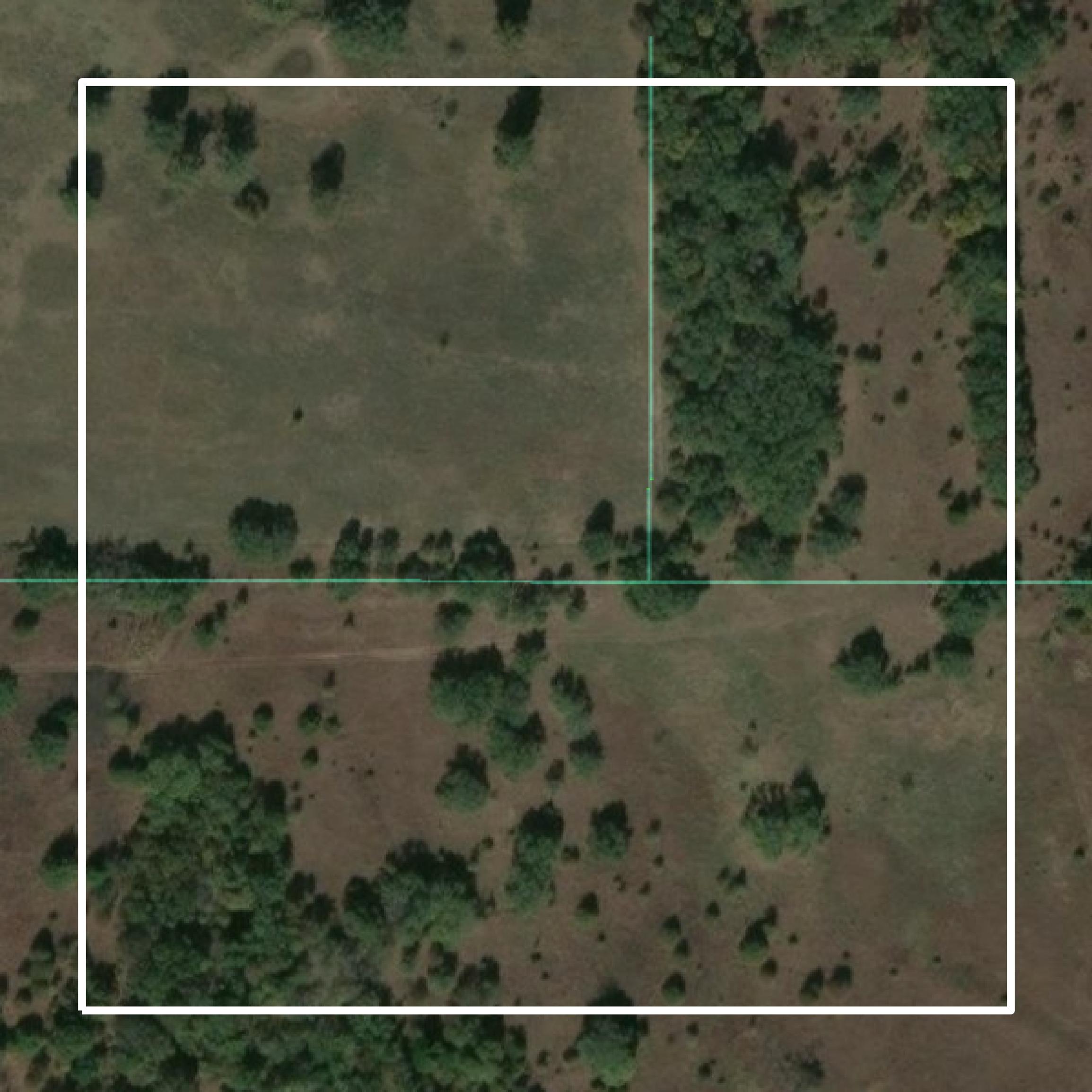 This image shows parcel and building data in Carter County created using GIS data in Equator.