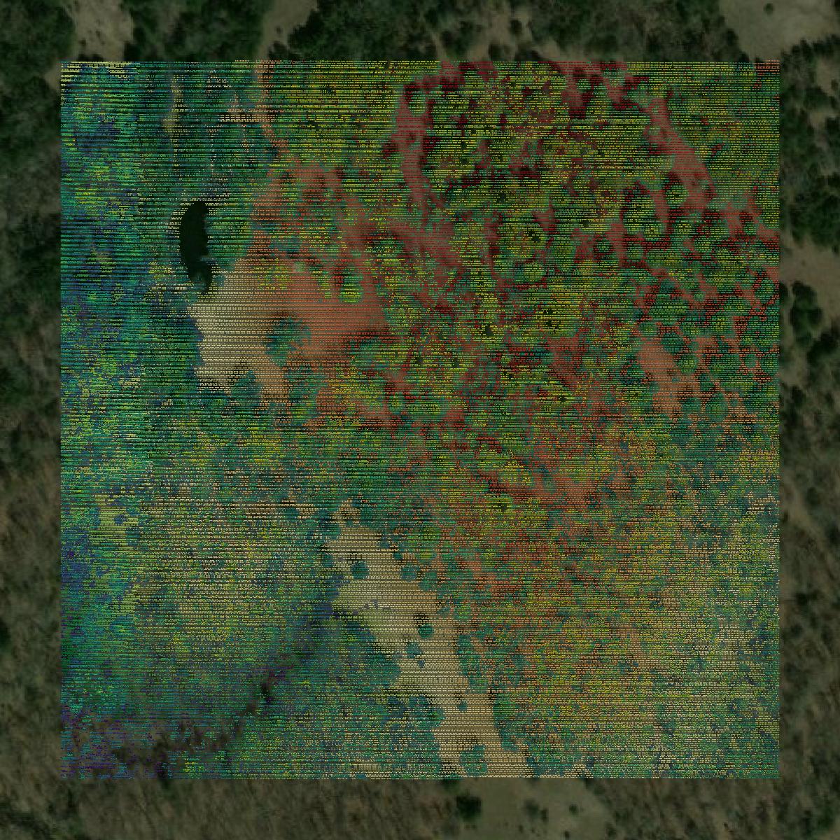 This image shows a LiDAR point cloud in Choctaw County created using GIS data in Equator.