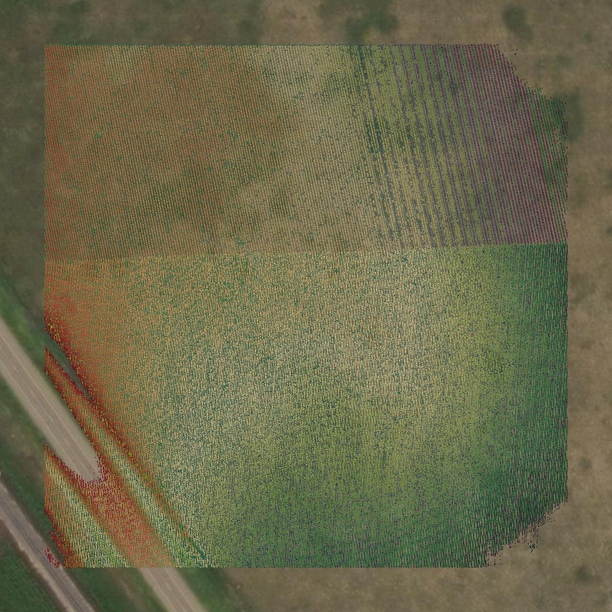 This image shows a LiDAR point cloud in Cimarron County created using GIS data in Equator.