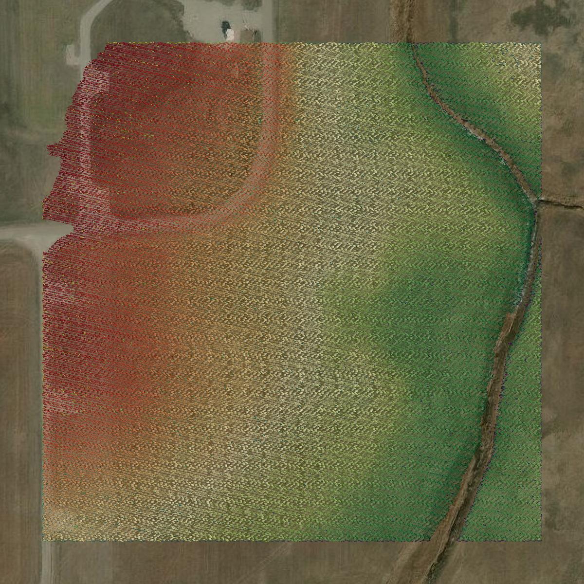 This image shows a LiDAR point cloud in Cleveland County created using GIS data in Equator.