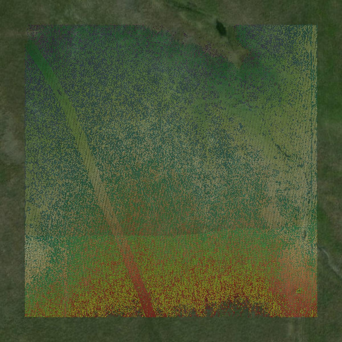 This image shows a LiDAR point cloud in Craig County created using GIS data in Equator.