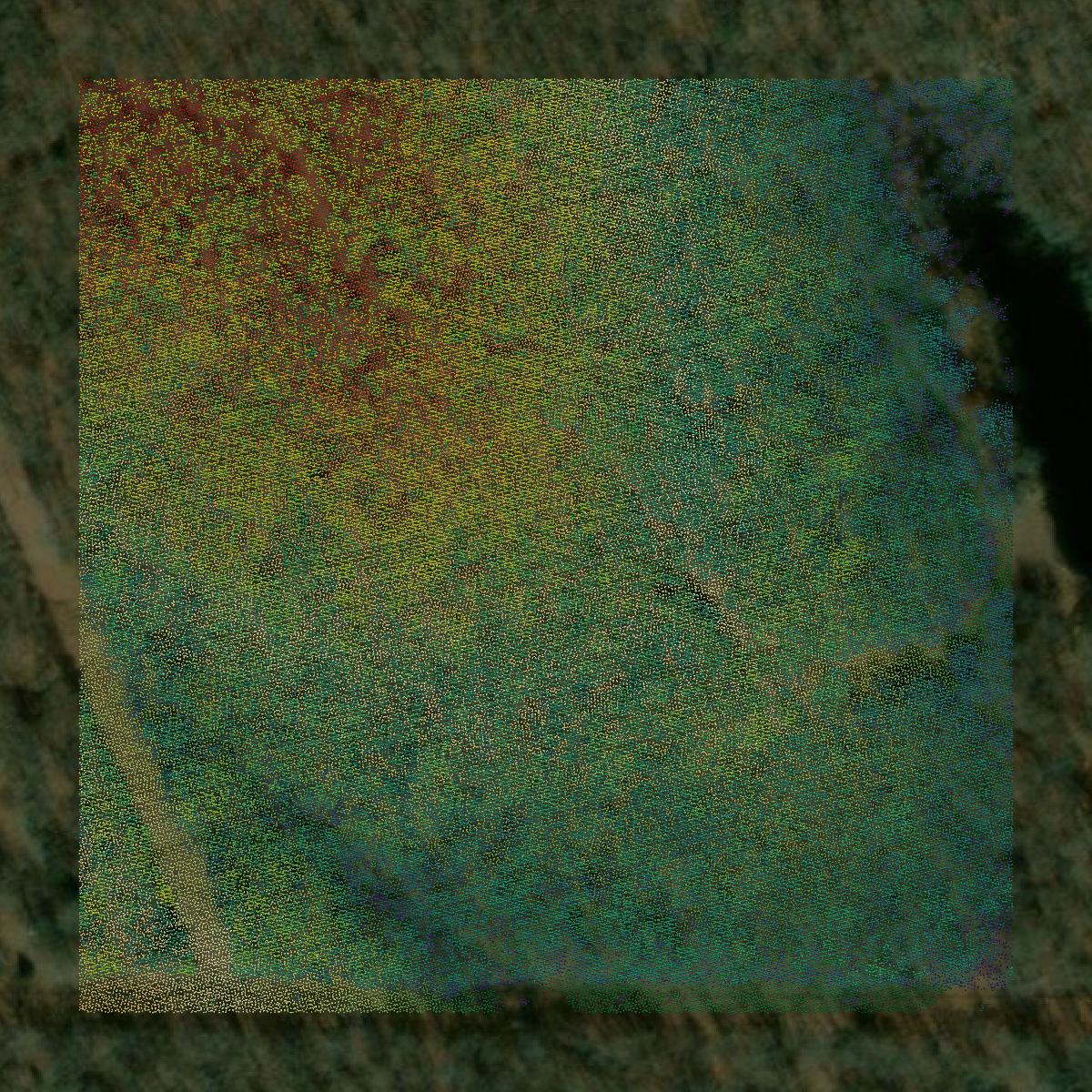 This image shows a LiDAR point cloud in Creek County created using GIS data in Equator.