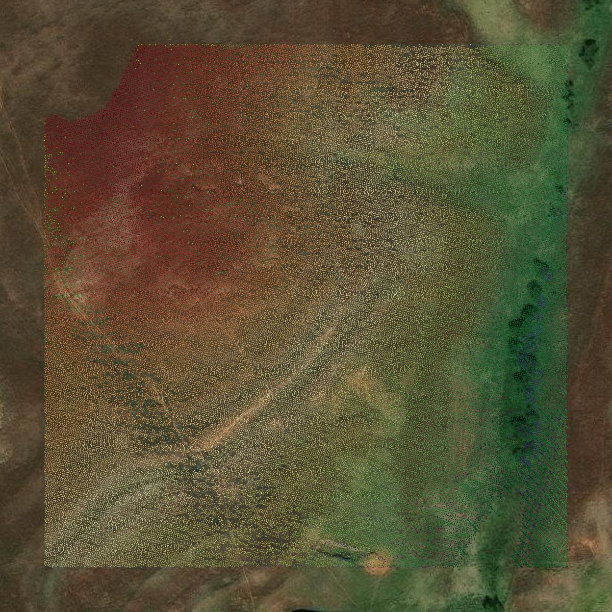 This image shows a LiDAR point cloud in Custer County created using GIS data in Equator.