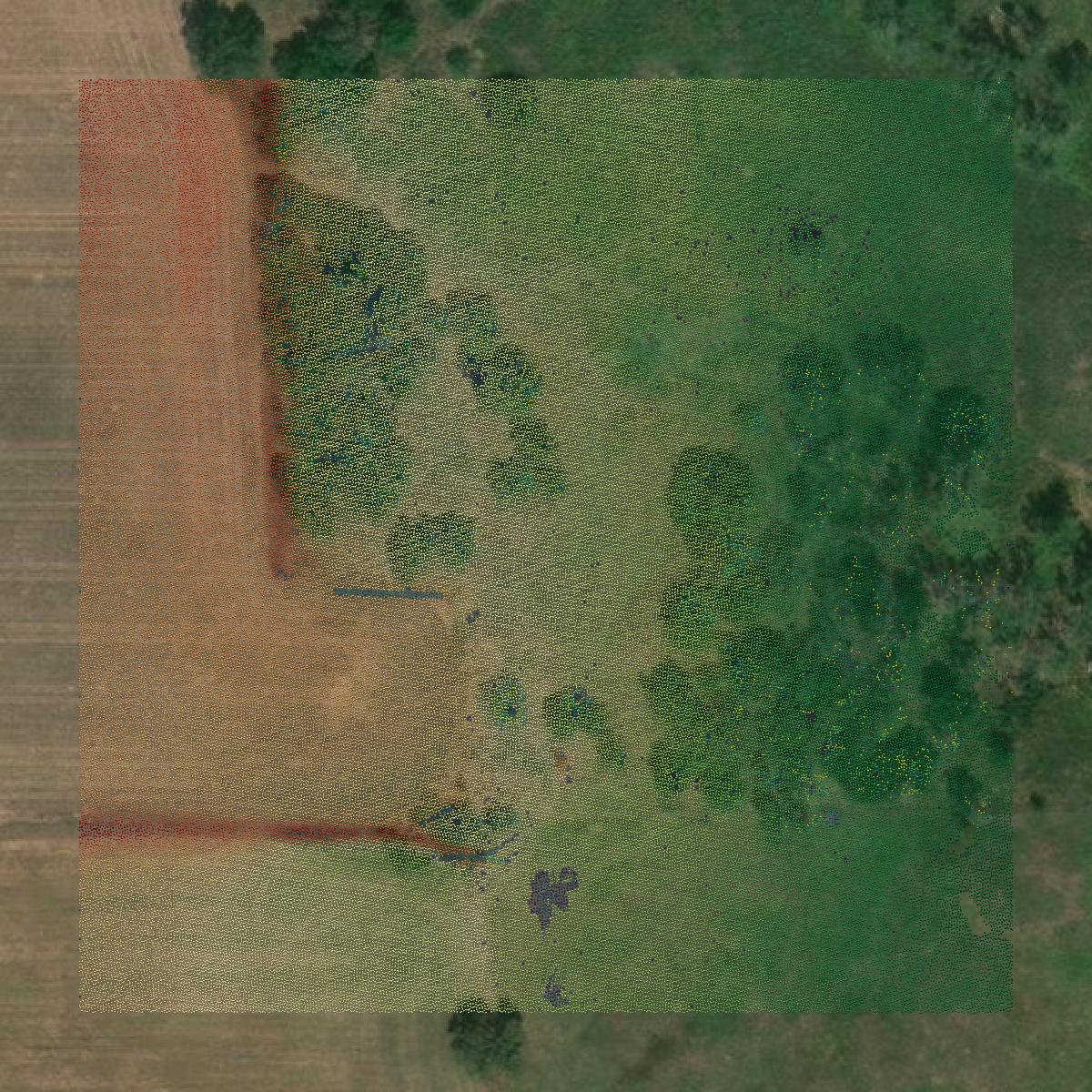 This image shows a LiDAR point cloud in Greer County created using GIS data in Equator.