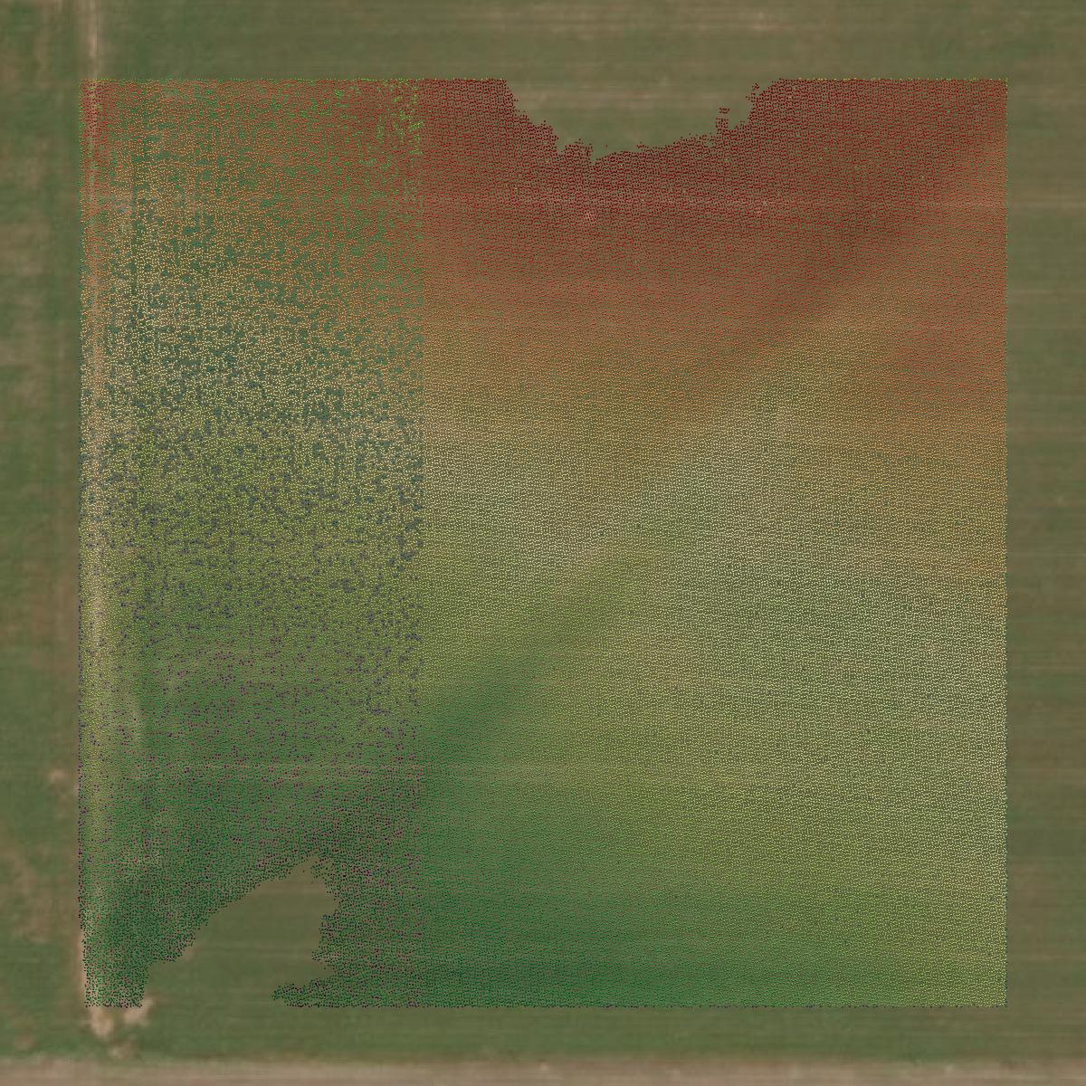 This image shows a LiDAR point cloud in Harmon County created using GIS data in Equator.
