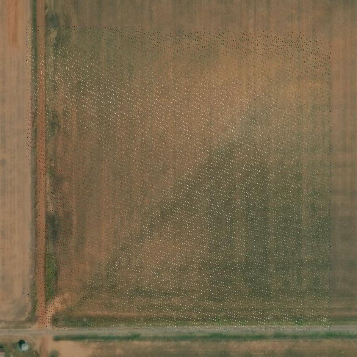 This image shows a LiDAR point cloud in Harmon County created using GIS data in Equator.
