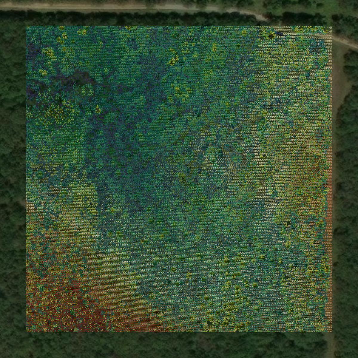 This image shows a LiDAR point cloud in Haskell County created using GIS data in Equator.