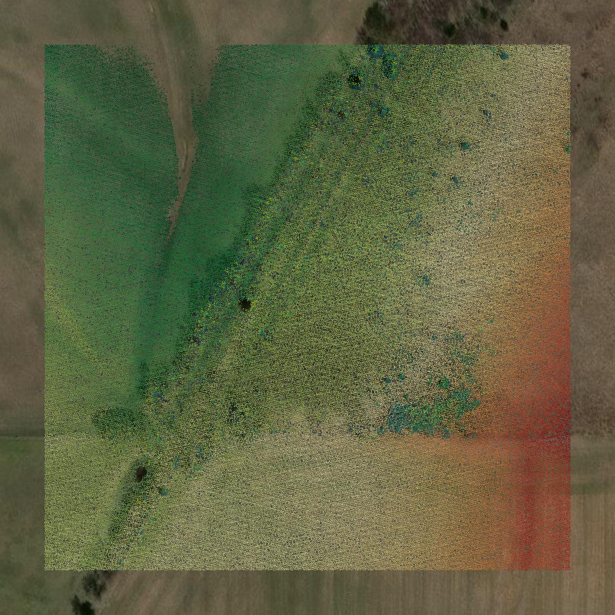 This image shows a LiDAR point cloud in Kay County created using GIS data in Equator.