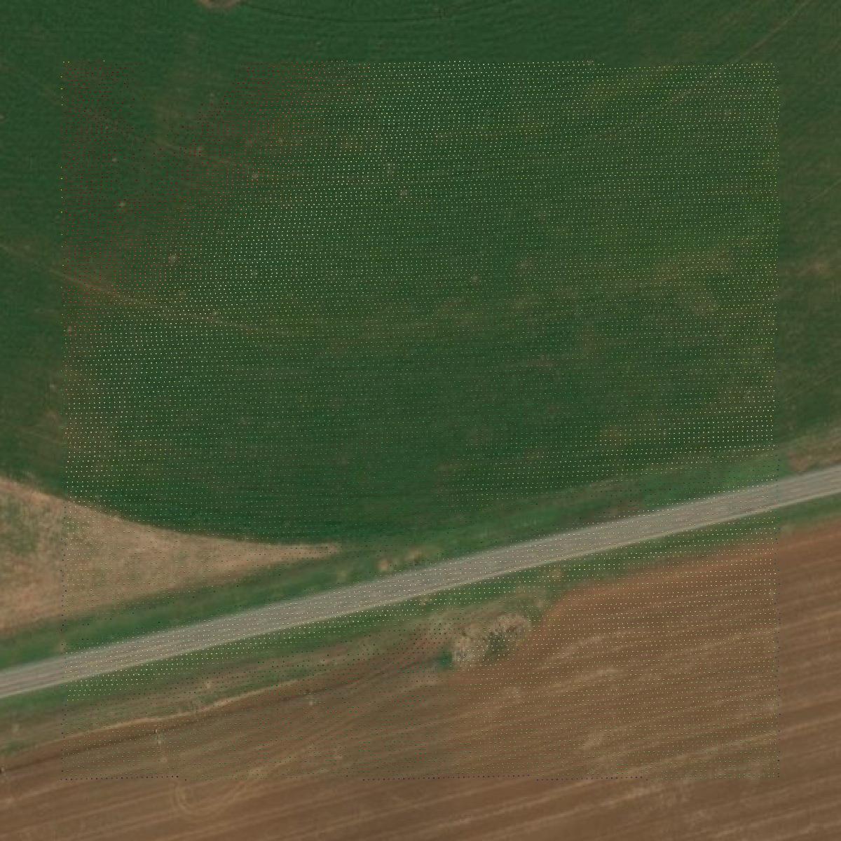 This image shows a LiDAR point cloud in Kiowa County created using GIS data in Equator.