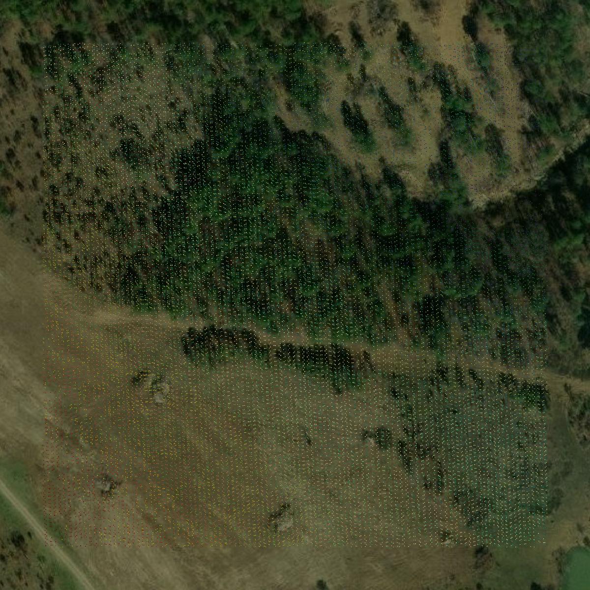 This image shows a LiDAR point cloud in Latimer County created using GIS data in Equator.