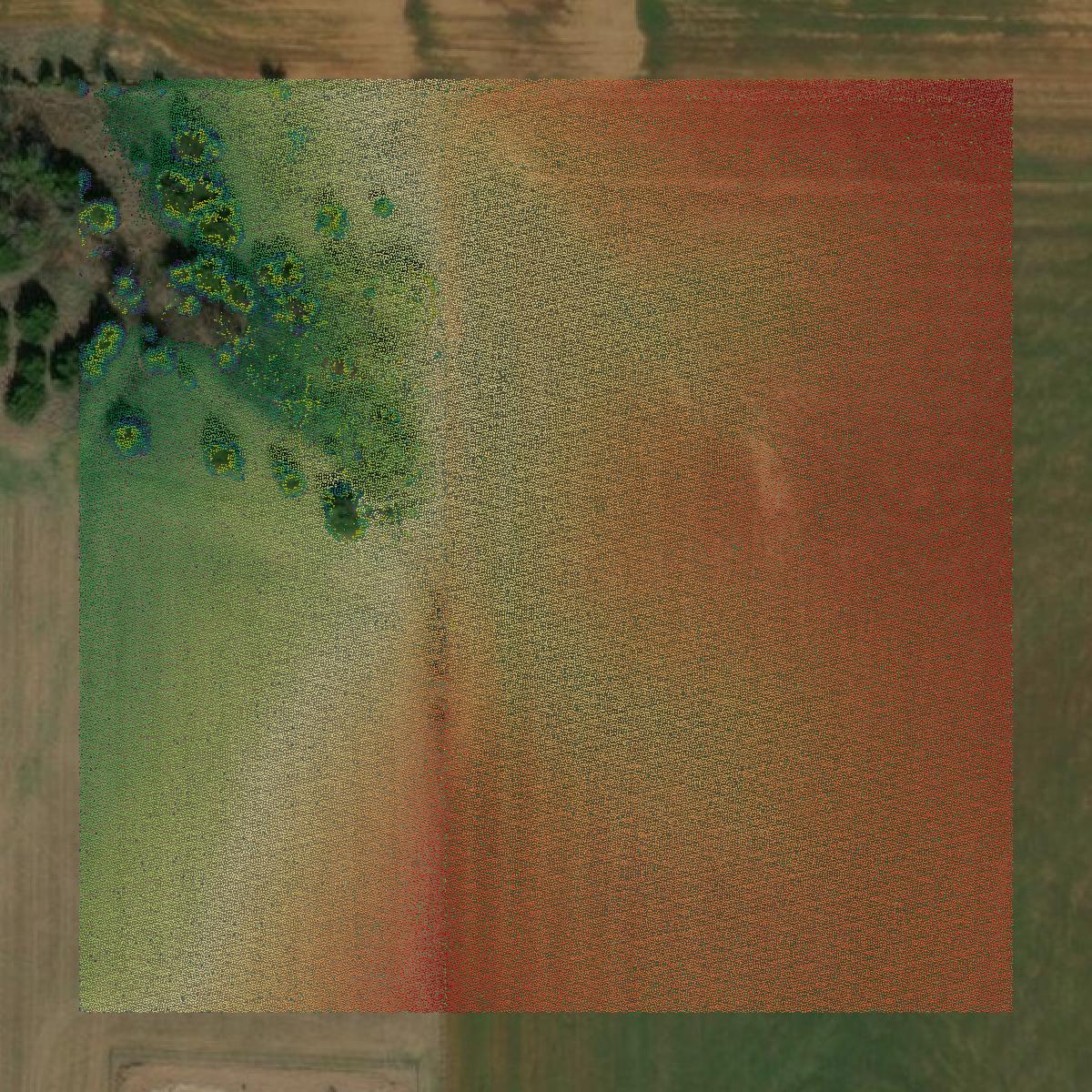 This image shows a LiDAR point cloud in Logan County created using GIS data in Equator.