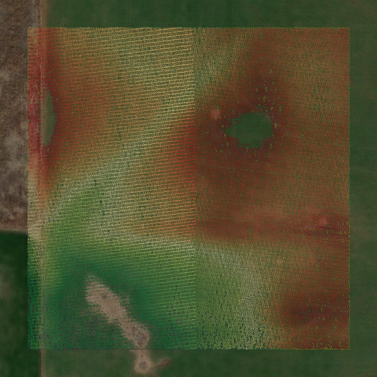This image shows a LiDAR point cloud in Major County created using GIS data in Equator.