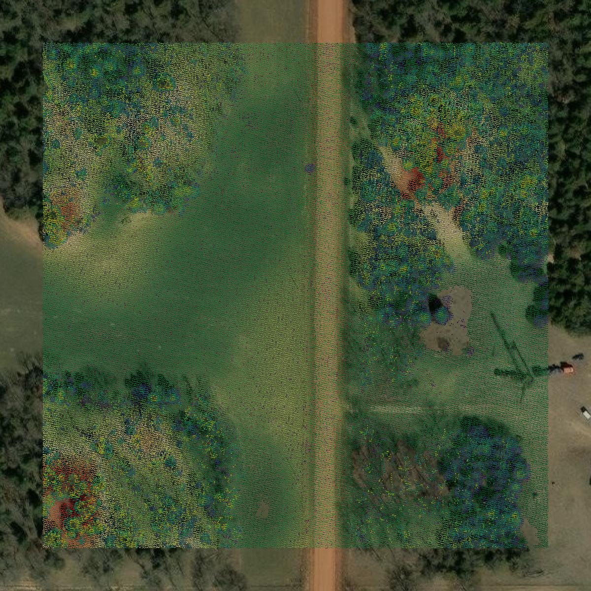 This image shows a LiDAR point cloud in Major County created using GIS data in Equator.