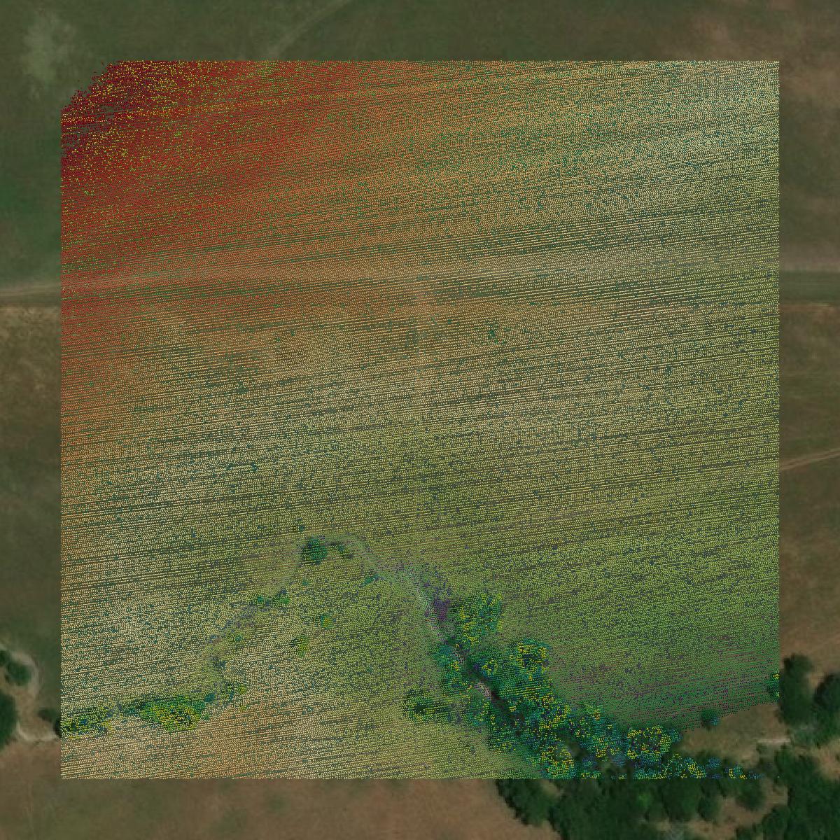 This image shows a LiDAR point cloud in Marshall County created using GIS data in Equator.